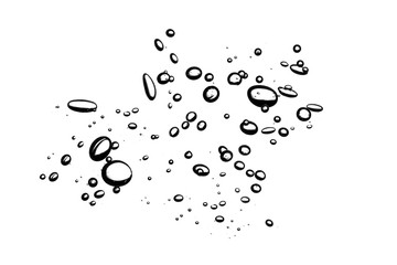Water bubble shape isolated on white background.