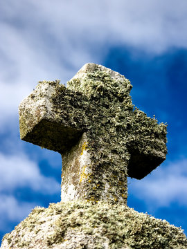 Stone cross with plants with sky as background