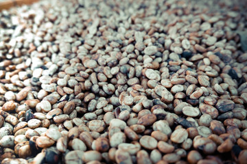 Coffee beans