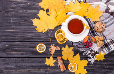Autumnal flat lay with scarf and hot cup of tea and fallen leaves. Top view still life representing autumn concept on white background with space for copy.