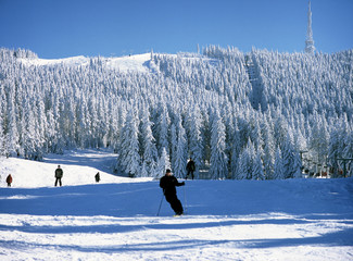 Skrzyczne Mountain, Szczyrk, Beskid Slaski Mountains, Poland: February, 2011 - ski lift on...