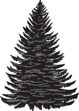 black and white christmas tree on transparent background