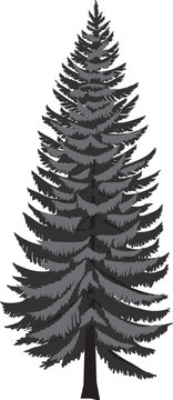 black and white christmas tree on transparent background