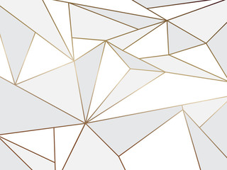 Abstract white polygon artistic geometric with gold line background