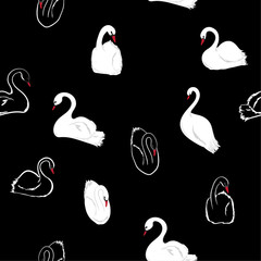 Minimal hand drawn balck and white Seamless pattern of swans in the lake .