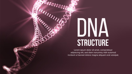 Dna Structure Vector. Digital Cell. Healthy Chromosome. Evolution Symbol. Illustration
