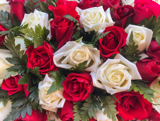 whit and red roses flowers bouquet for decoration background.