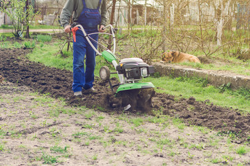 Man working in the spring garden with tiller machine