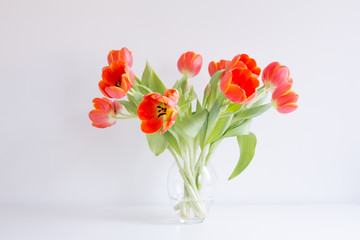 Different life stages of a studio bouquet of red / orange tulips in twenty separate images, from buds to death.