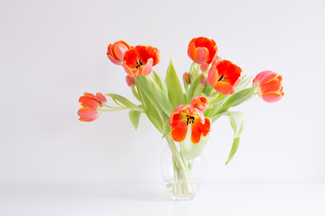 Different life stages of a studio bouquet of red / orange tulips in twenty separate images, from buds to death.