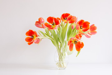 Different life stages of a studio bouquet of red / orange tulips in twenty separate images, from buds to death.