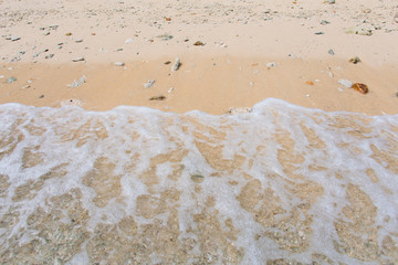 The beach and the sea.