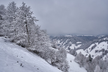 Obraz premium Mountains during winter