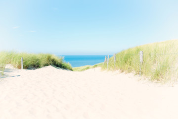 Summer dune path with dune grass and fine white sand leading towards a blue North Sea, The Netherlands.