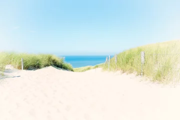 Photo sur Plexiglas Mer du Nord, Pays-Bas Sentier des dunes d& 39 été avec de l& 39 herbe des dunes et du sable blanc fin menant vers une mer du Nord bleue, aux Pays-Bas.