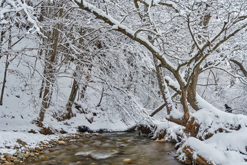 Winter landscape with river