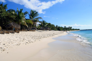 Tropical island beach with white sand