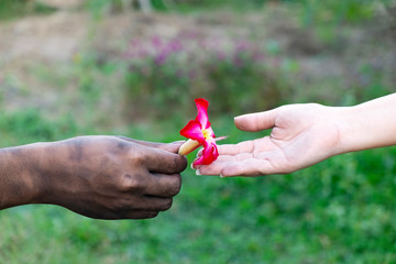 Close up hand dirty of man give a red  to woman, Retro style valentine day greeting card design, together on blurred background for love concept