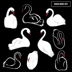 Set of Hand drawn swan bird beautiful vector
