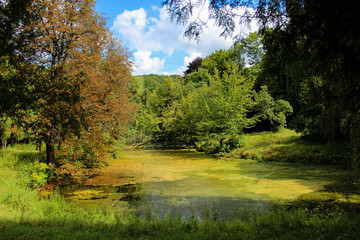 A water pond in an abandoned park