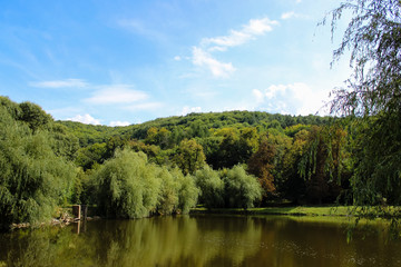 Fototapeta na wymiar A water pond in an abandoned park