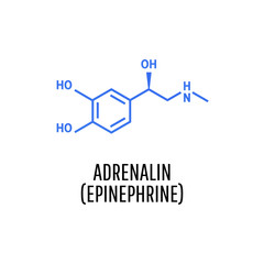 Adrenaline (adrenalin, epinephrine) molecule isolated on white background.  Vector icon.