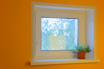 white plastic window with houseplant on the windowsill