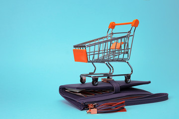 Fototapeta premium the shopping cart is on the wallet and waiting for the shopping time