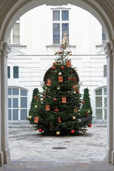Weihnachtsbaum in Wien
