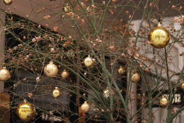 goldene Weihnachtsbaumkugeln am Strauch