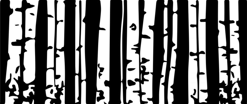 Birch trees background for you design © Anton