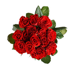 A bouquet of red roses, isolate. Concept of Women's Day or St. Valentine. Copy space.