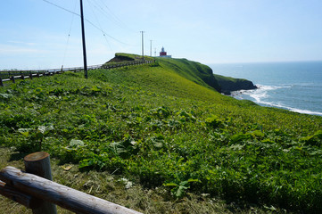 北海道・霧多布岬