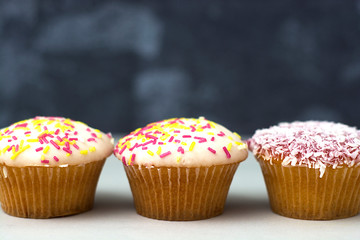 Some mini muffin, cupcakes dessert, isolated. Copy space.