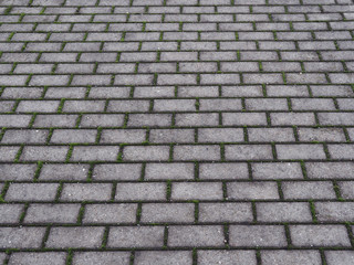 Graues Straßenpflaster mit Moos
