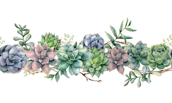 Watercolor seamless bouquet with succulents, tree branch and eucalyptus. Hand painted cacti, eucalyptus leaves and branches isolated on white background.  Botanical illustration for design, print. 