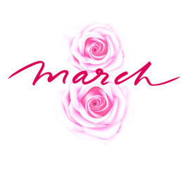 8 march. International Womens day symbol with two pink roses and calligraphic text isolated on white background.