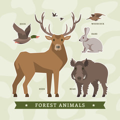 Vector set of flat cartoon forest animals for hunting with deer, boar, hare, duck and woodcock.