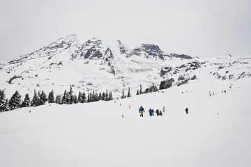 Backcountry skiers skin up the hill at Mt Rainier on a cold winter day
