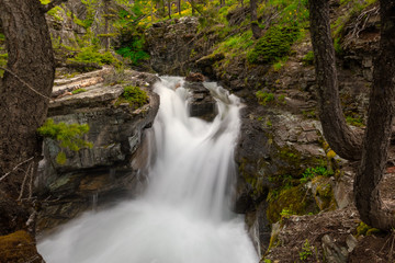 Flowing waterfall stream lush foliage