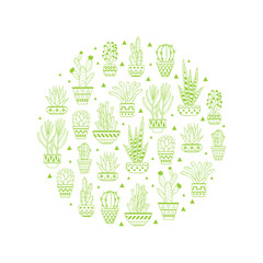 Succulents and cactuses in flowerpots