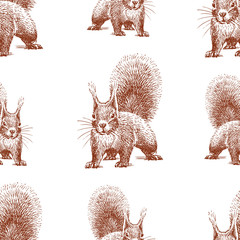Seamless background of sketches of forest squirrel - obrazy, fototapety, plakaty