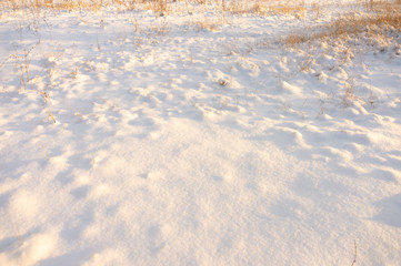grass yellow from under the snow winter landscape