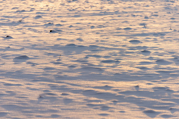 winter background with snow texture on the sunset closeup