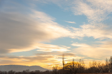 Obraz premium Winter landscape with frozen bare trees on a peeled agricultural field covered with frozen dry yellow grass under a blue sky during sunset