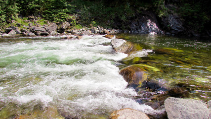 Mountain river with scenic thresholds in the green forest.