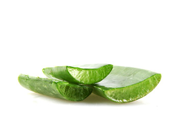 Aloe Vera Plant Isolated On White Background