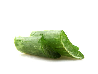 Aloe Vera Plant Isolated On White Background
