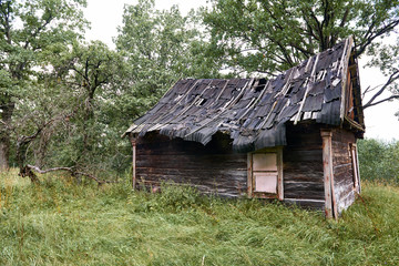 Fototapeta na wymiar old wooden house in the forest