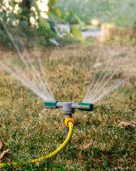 sprinkler watering the lawn, garden, water consumption